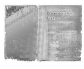 Domovsky List