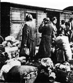 Viehwagons man war trotz allem froh dass es ein Ende hatte