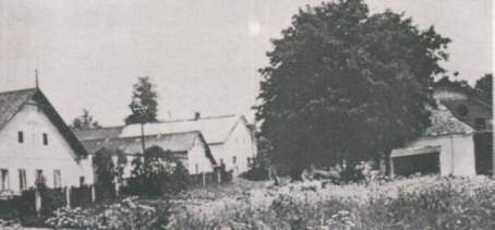 Bild aus dem Ortsbeitrag